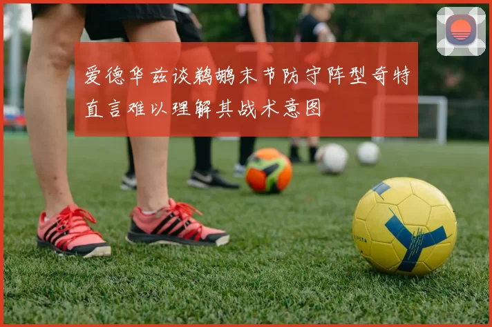 爱德华兹谈鹈鹕末节防守阵型奇特直言难以理解其战术意图