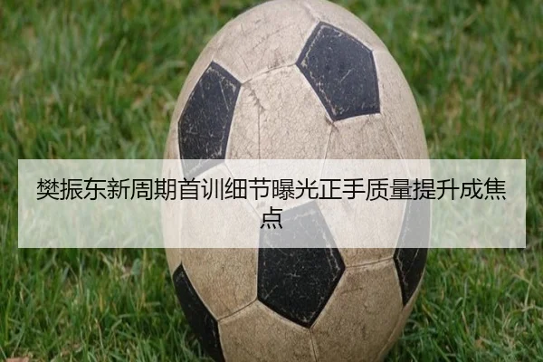 樊振东新周期首训细节曝光正手质量提升成焦点 | Leyu